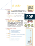 Documento Sin Título