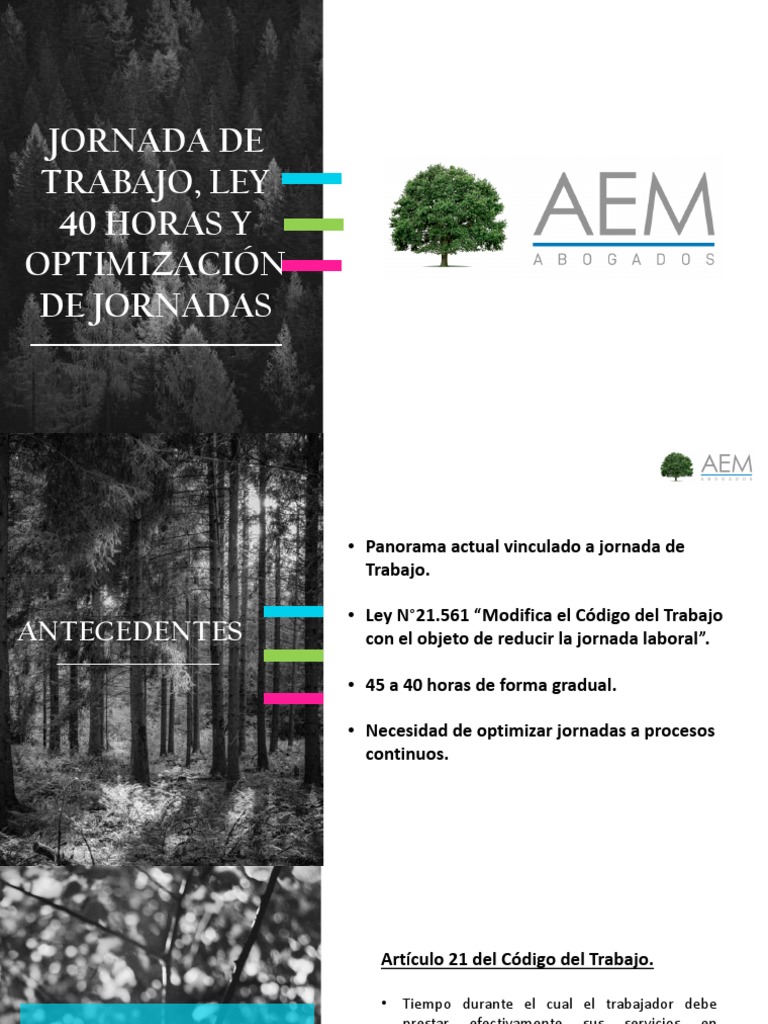Ley 40 Horas y Optimización Laboral | PDF | Tiempo de trabajo | Labor