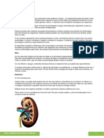 PDF CONHECIMENTOS ESPECIFICOS - PROGRAMA DE CIENCIAS - Sistema Excretor