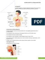 PDF CONHECIMENTOS ESPECIFICOS - PROGRAMA DE CIENCIAS - Sistema Digestivo, Sistema Digestório