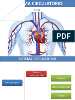 06 - Aparato Cardiovascular y Sistema LinfÃ¡Tico