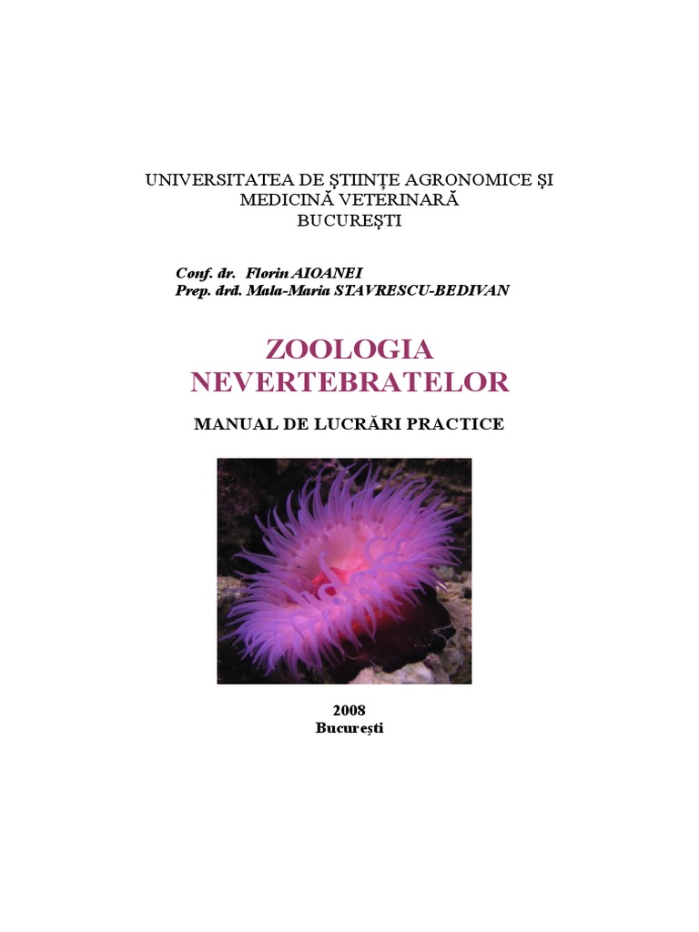 Suport LP Nevertebrate | PDF | Organisms