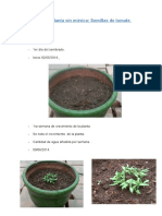 Informe de La Planta Sin Musica