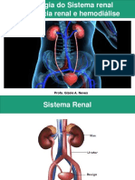 Aula 11 - Fisiologia Renal