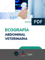 Ecografia Abdominal - Nov2022