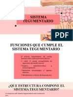 Sistema Tegumentario