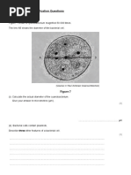 Calculation-Magnification-Qs Pack-Gcse