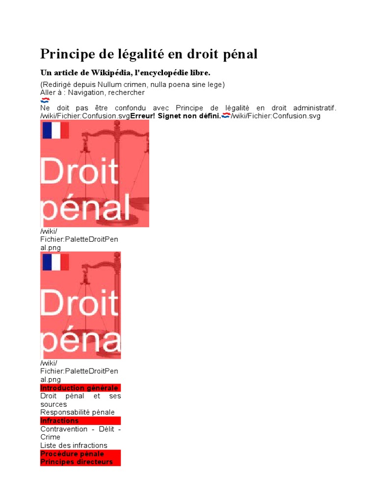 Principe de Légalité en Droit Pénal PDF