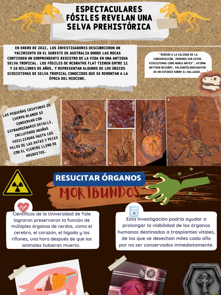 Fósiles Revelan Selva del Mioceno | PDF