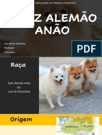 Trabalho Sobre Spitz Alemão