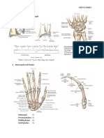 Catatan Wrist N Biomechanical