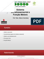 Sistema Somatossensorial e Função Motora