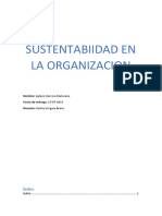 Sustentabiidad en La Organizacion