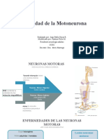 Enfermedad de La Motoneurona