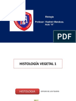Semana 4 Histología Vegetal 1