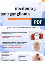 Feocromocitoma y PGL