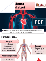 Tema 5. Sistema Circulatorio