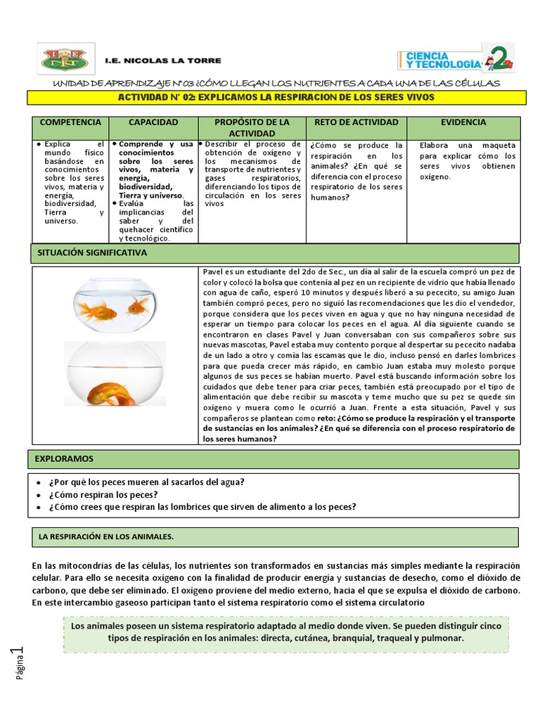 Unidad 3 Act 2 | PDF