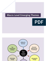 Macro Level Emerging Themes