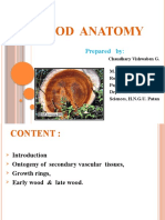 Wood Anatomy Sem-2 Vishwa