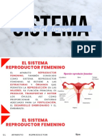 Sistema Reproductor Femenino