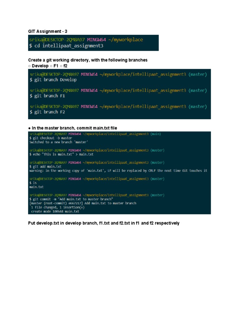 Git Branch Management Assignment | PDF