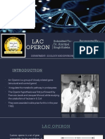 Lac Operon