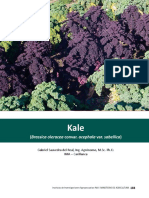 Capitulo 4. Kale