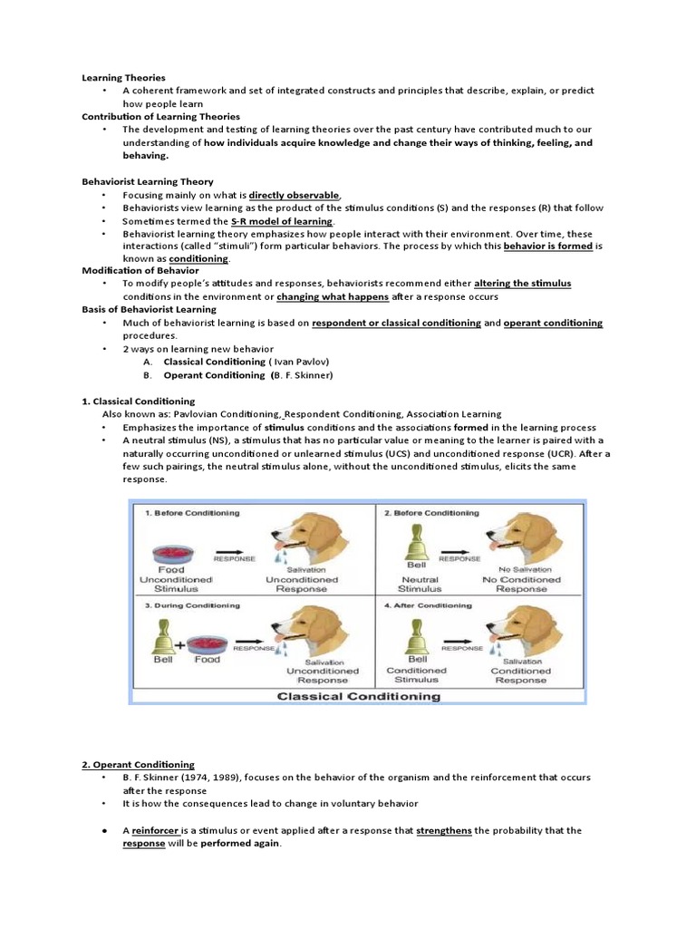 Learning Theories LECTURE | PDF