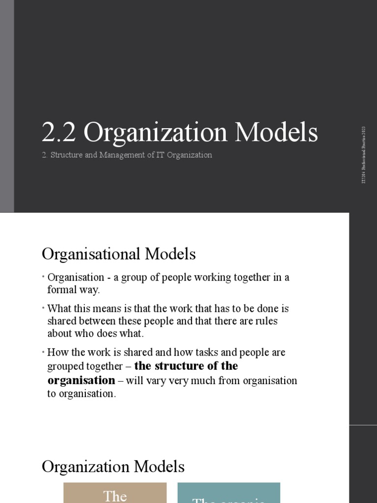 2.2 Organization Models | PDF