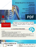 PDF Esqueleto
