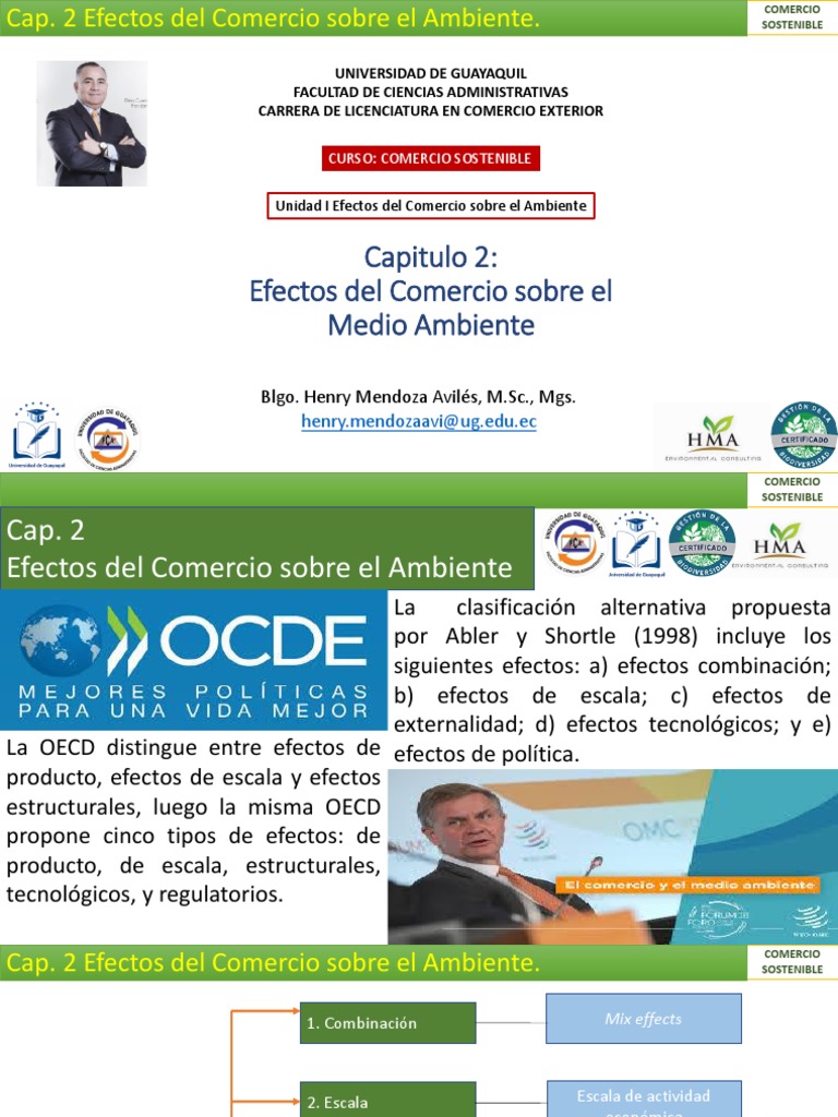 Efectos del Comercio en el Medio Ambiente | PDF