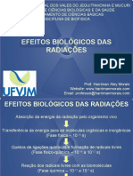 Aula 12 Efeitos Biologicos