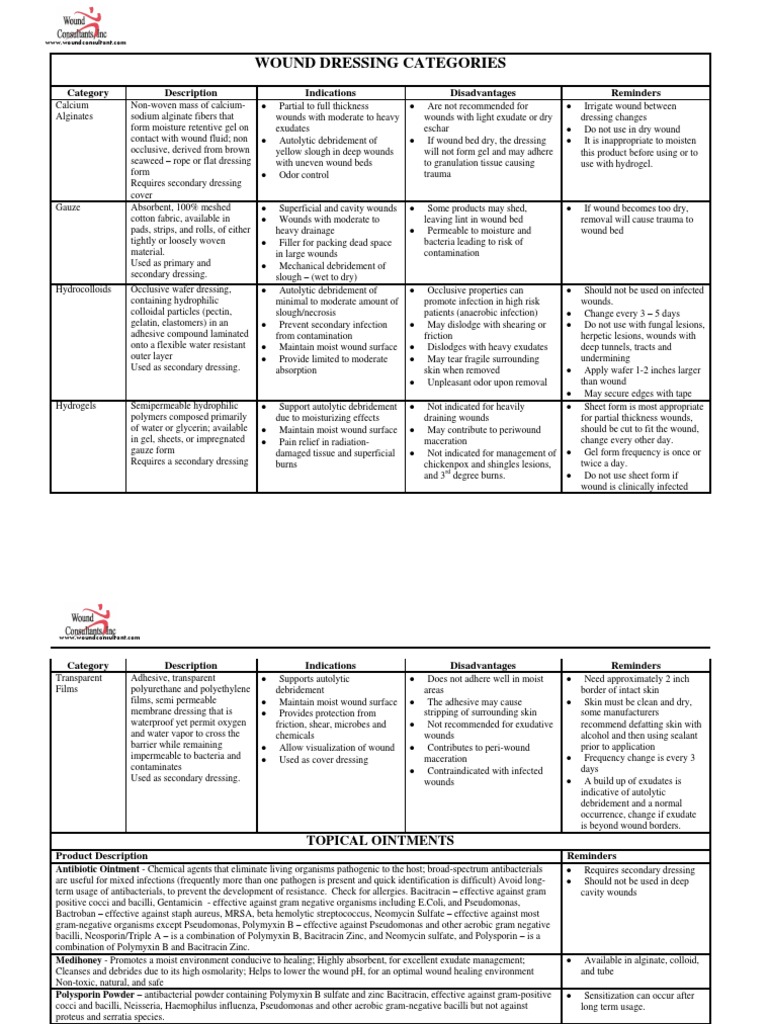 Wound Dressing Categories PDF