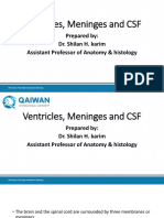Ventricles, Meninges and CSF: Prepared By: Dr. Shilan H. Karim Assistant Professor of Anatomy & Histology