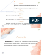 Flashcards Poesia, Pros, Fábulas PDF