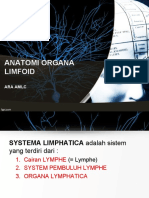 Anatomi Sistem Limfa