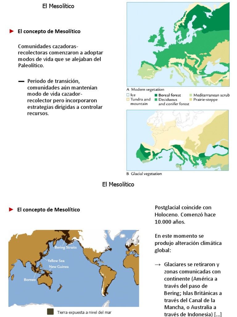 El Mesolitico Y Neolitico PDF