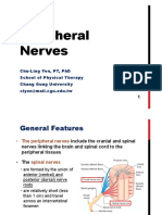 Week 5 Peripheral Nerves