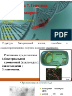 Lekcziya 7 Genetika-Prokariot