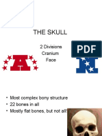 The Skull Revised