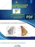 Biopsia de Mama Anico 2023