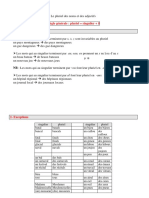 Le Pluriel Des Noms Et Des Adjectifs