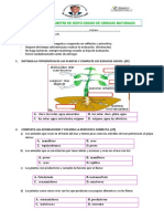 Exam CCNN 1Q