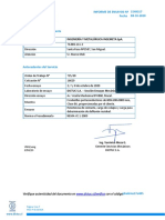 Informe DICTUC