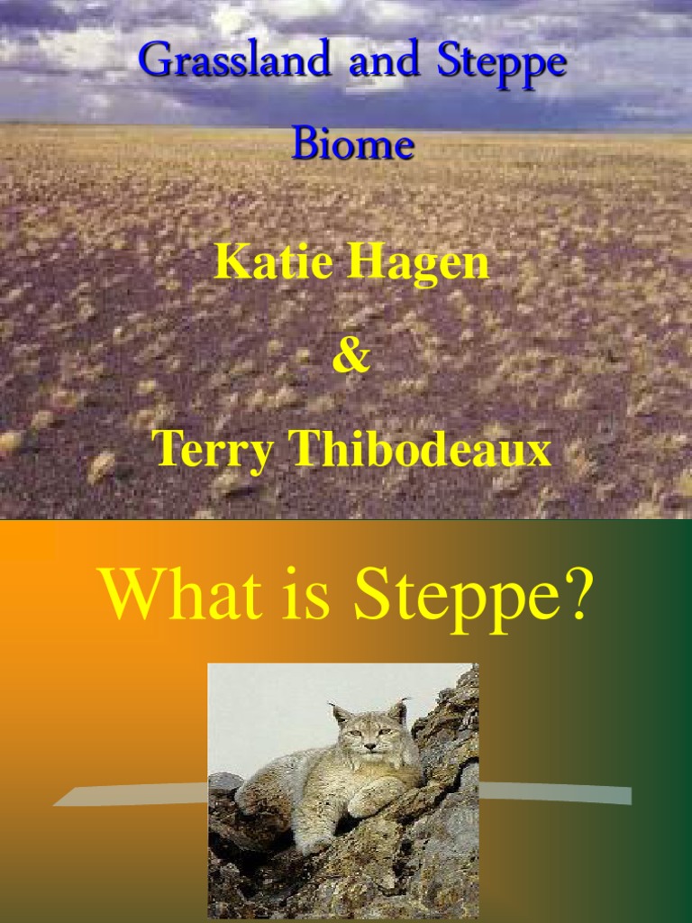 Understanding Steppe and Grassland Biomes | PDF