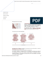 Branqueamento de Capitais _ Portal Da Comissão Prevenção Do Branqueamento de Capital e Financiamento Do Terrorismo 5