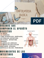 Exposicion de Enfermeria Basica