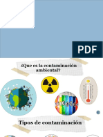 La Contaminación Ambiental