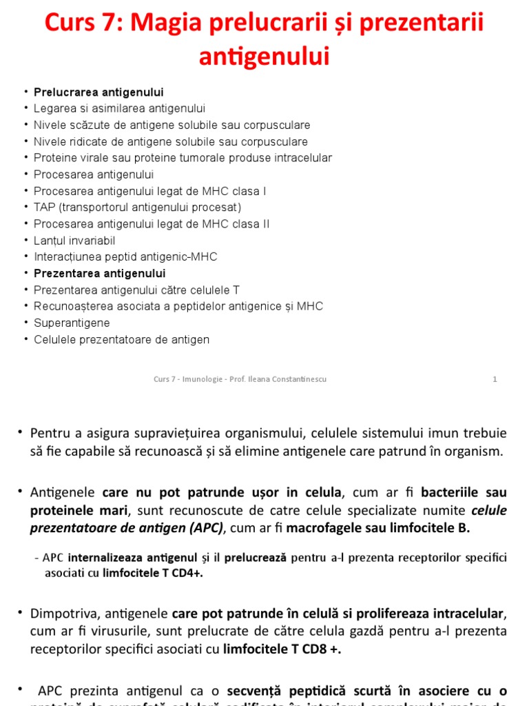 Curs 7 - Procesarea Atg | PDF